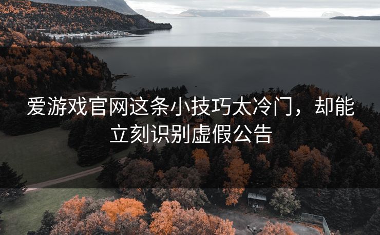 爱游戏官网这条小技巧太冷门，却能立刻识别虚假公告