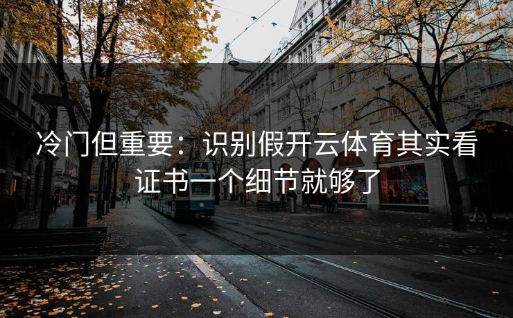冷门但重要：识别假开云体育其实看证书一个细节就够了
